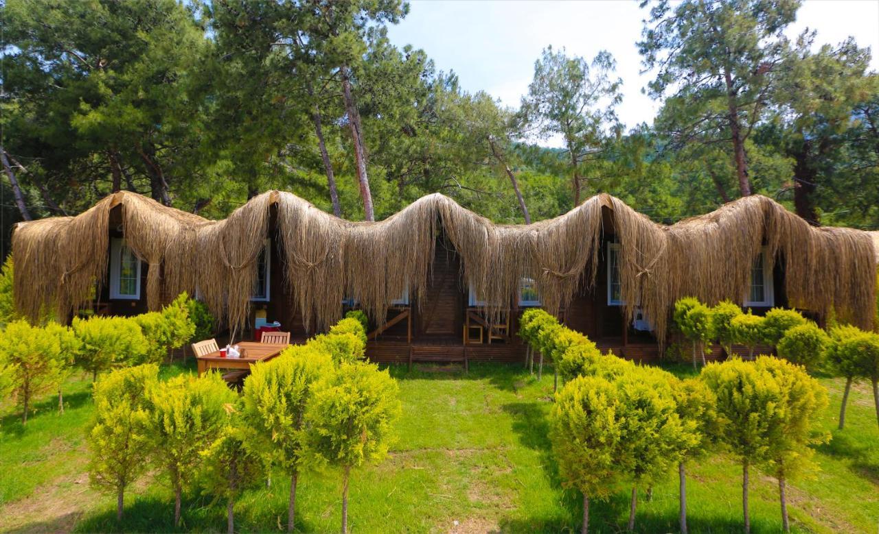 Green Pine Bungalows & Beach Luxury Concept Oludeniz Exterior photo