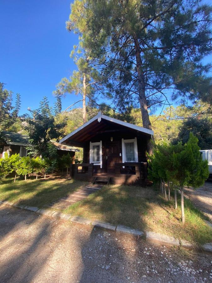 Green Pine Bungalows & Beach Luxury Concept Oludeniz Exterior photo